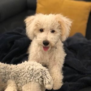 Meet your Posher, Evan